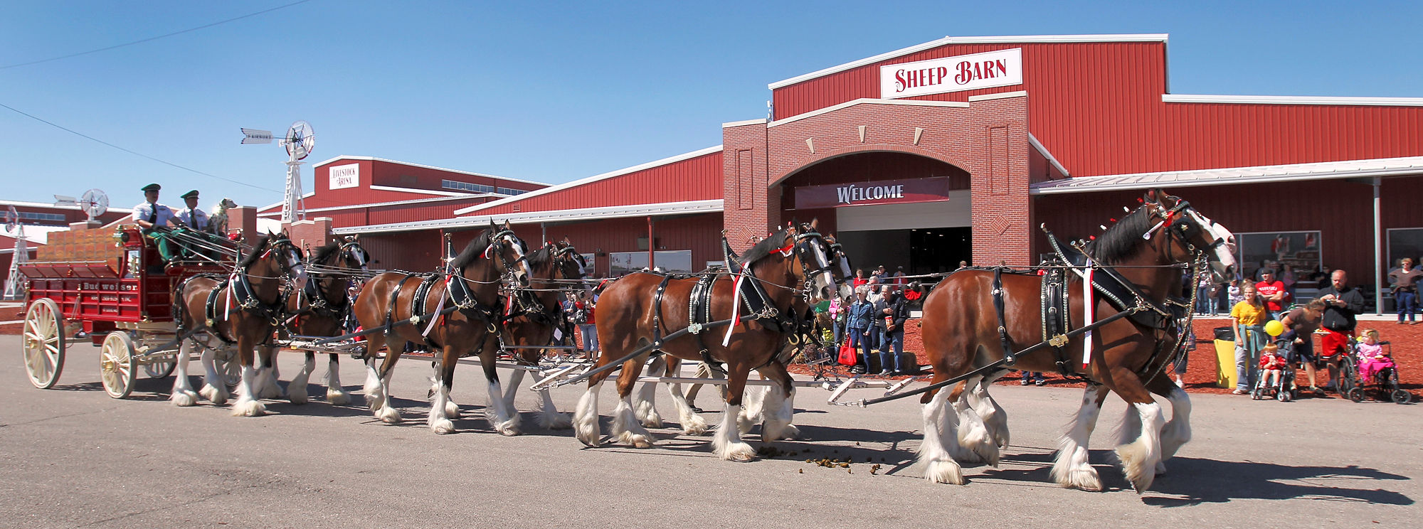090410_statefair011_bjs.JPG